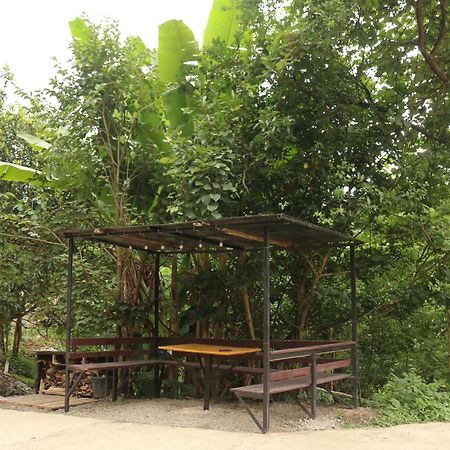 Modular House Green Zyland Y Batumi Bagian luar foto