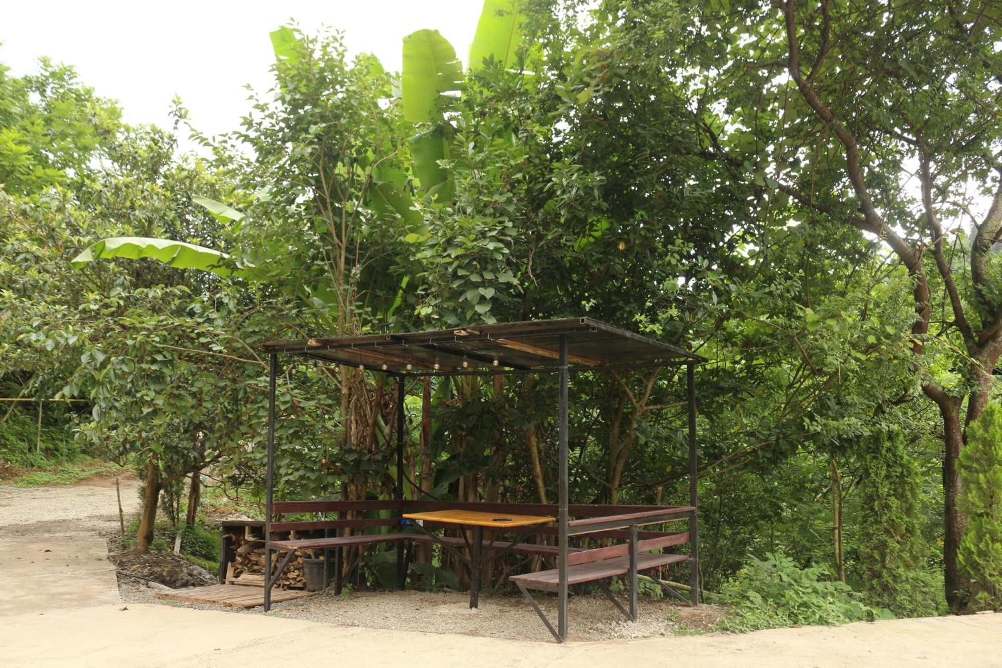 Modular House Green Zyland Y Batumi Bagian luar foto